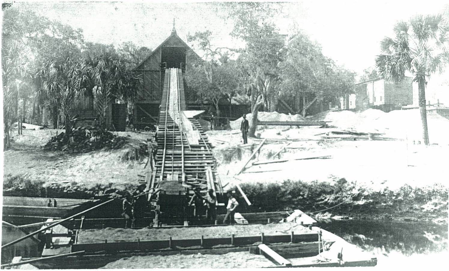 Peace River Pebble Plant